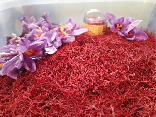 Kashmir Saffron gets “GI tag”