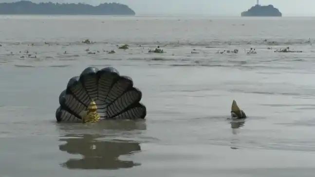 Brahmaputra water engulfs Lord Vishnu statue in Guwahati as Assam grapples floods