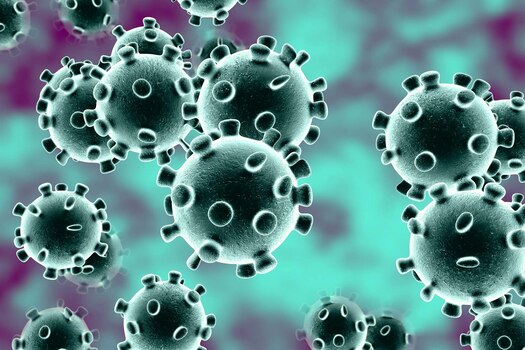Single-day coronavirus update, India