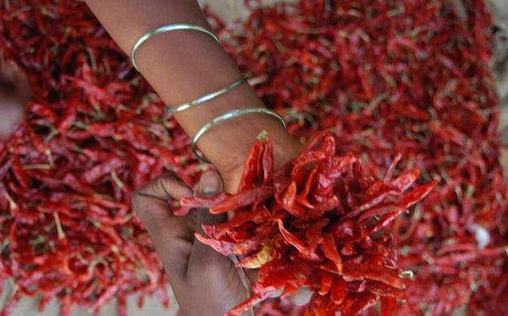Indian Spices Exports Cross the $3 Billion Mark