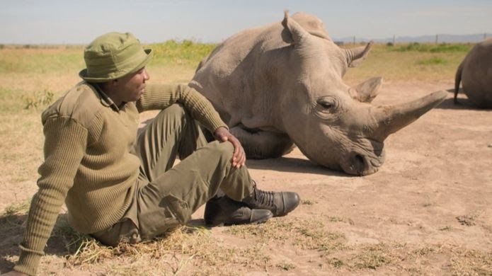 Sir David Attenborough makes stark warning about species extinction