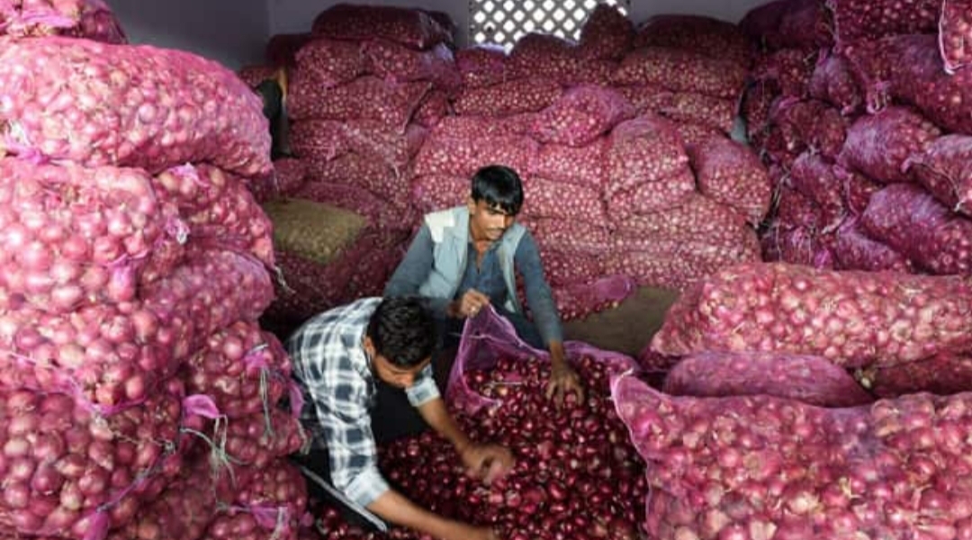 The government prohibits the export of all varieties of onions