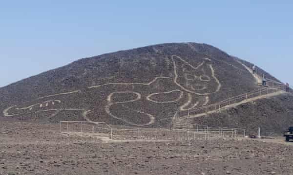 Huge cat found in Peru