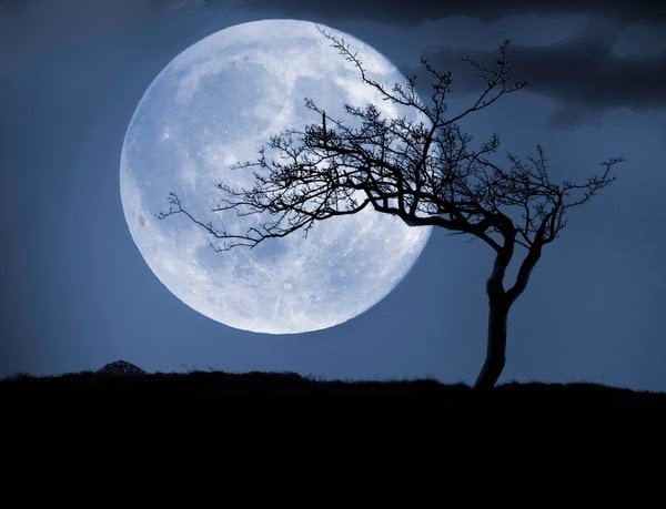 Rare Blue Moon on Halloween adds to the spookfest