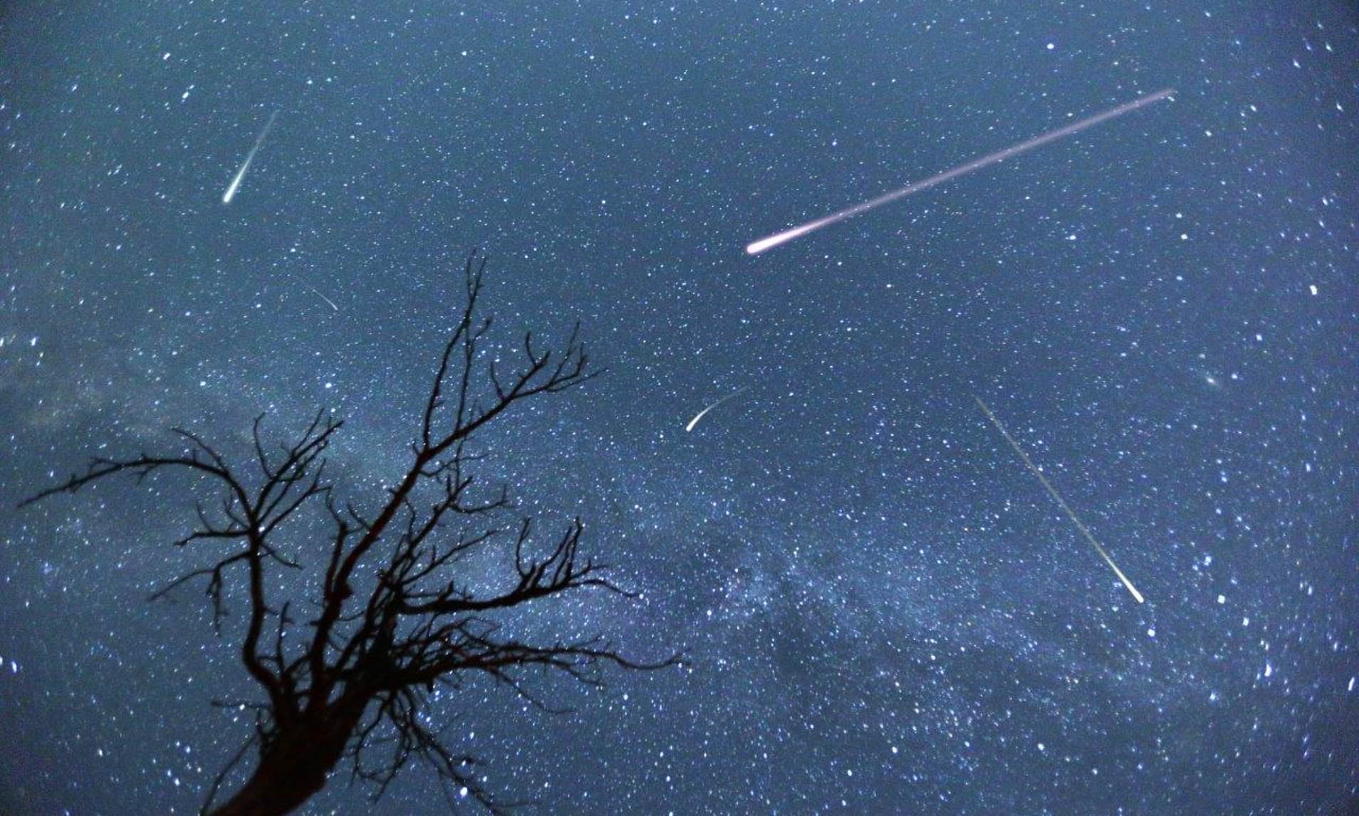 Orionid meteors stem from Comet Halley