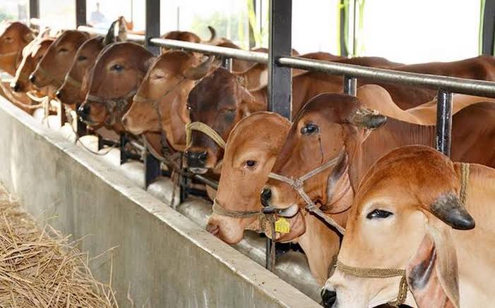 To boost dairy farming & milk sufficiency in the Union Territory ‘Vishal Pashudhan Vyapar Mela’ was organized