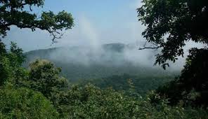 Forest cover increased in Maharashtra
